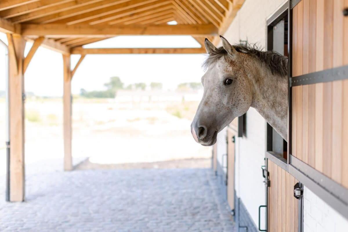Huswell - Lord - Charming Double At Ranch 